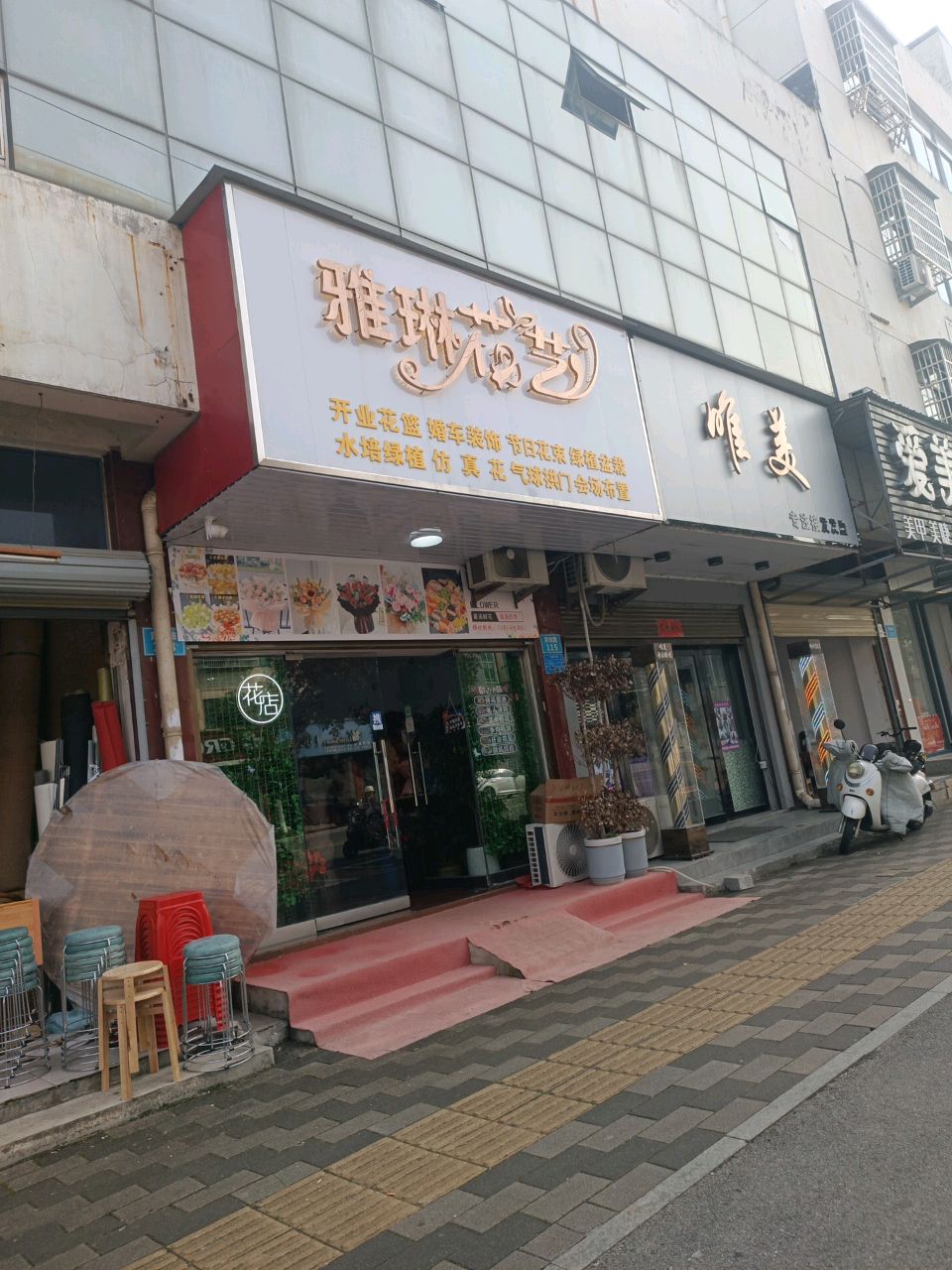雅琳花一