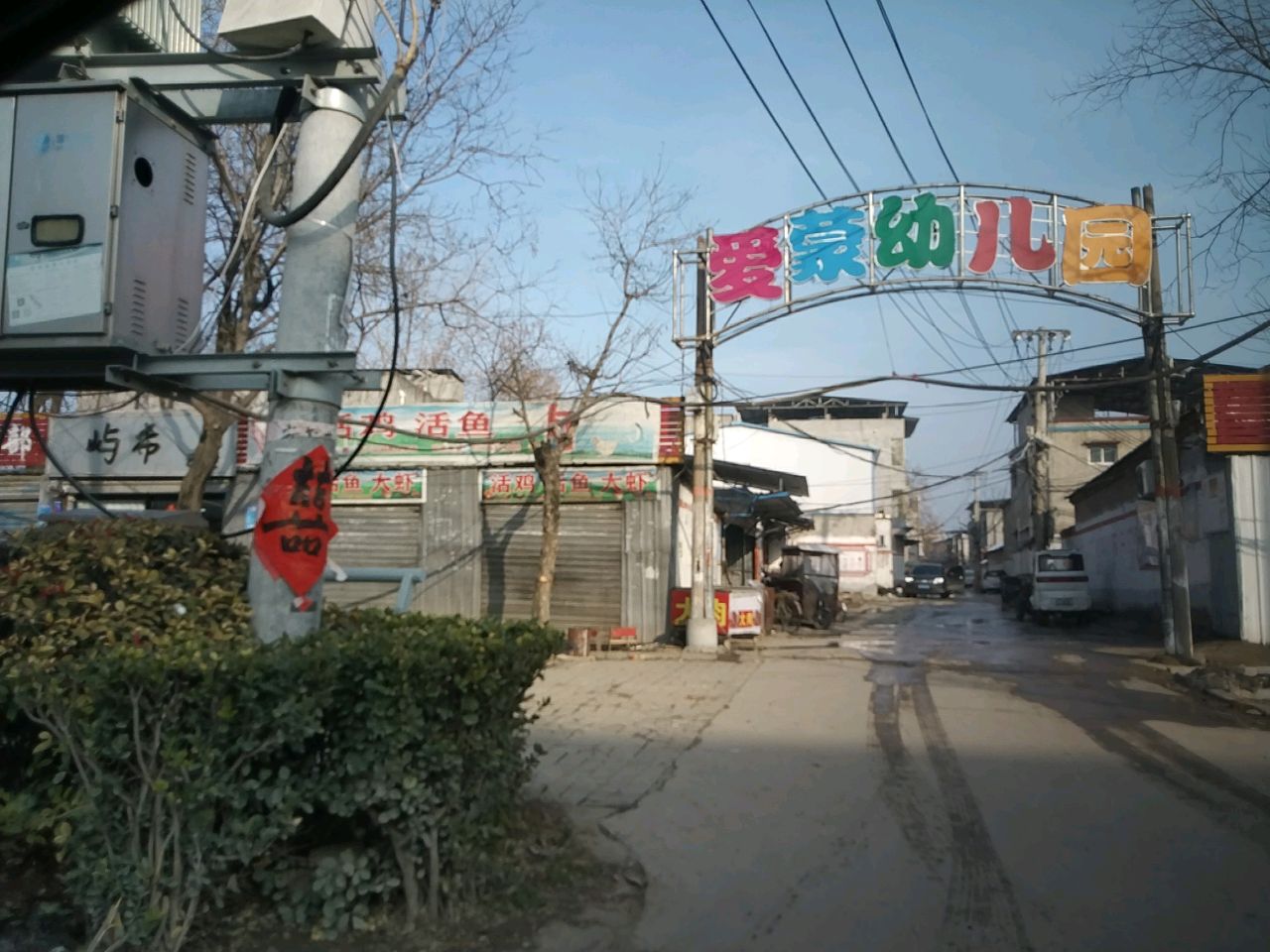 项城市活鸡活鱼生鲜肉