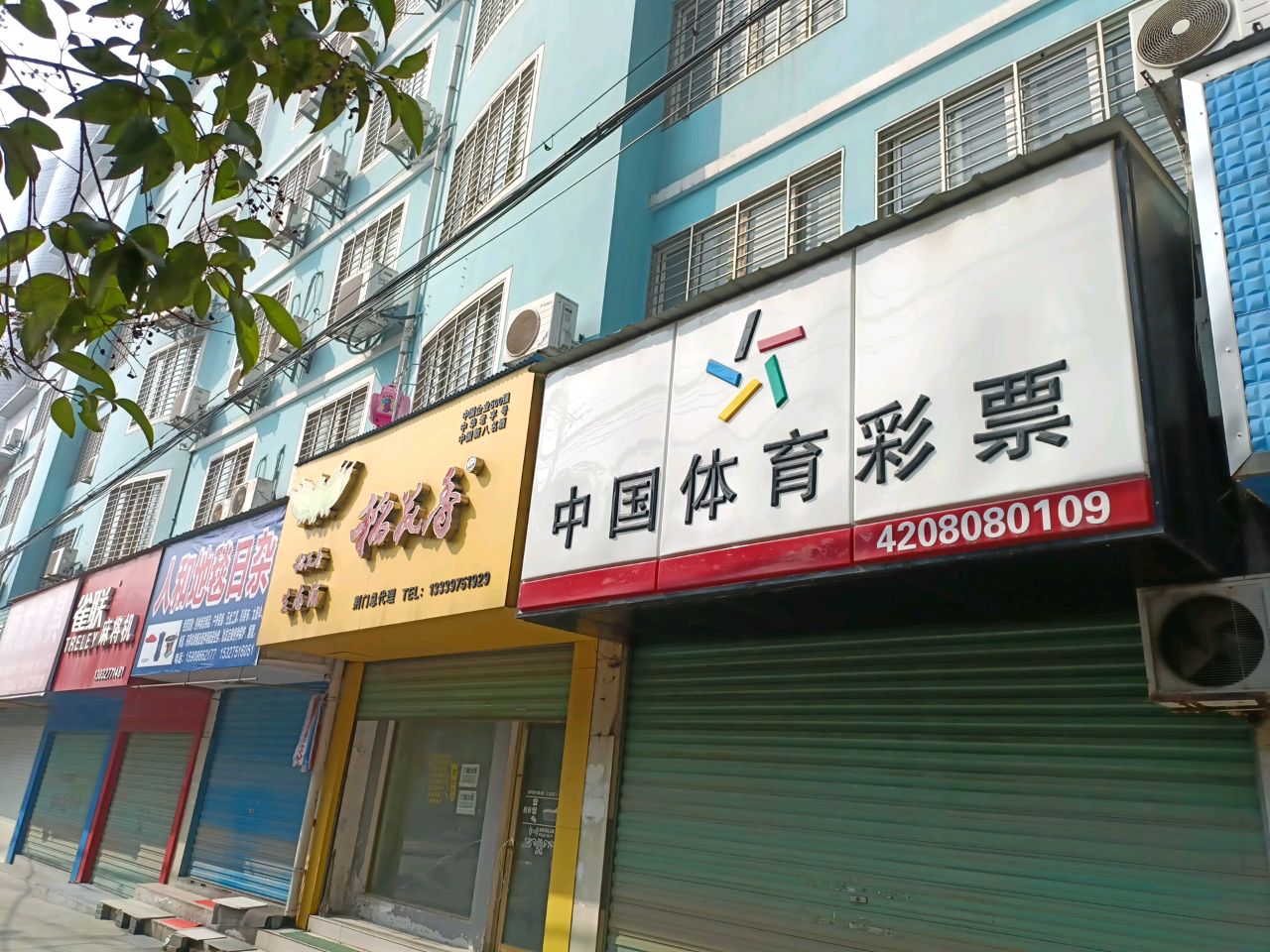 人和地毯日杂