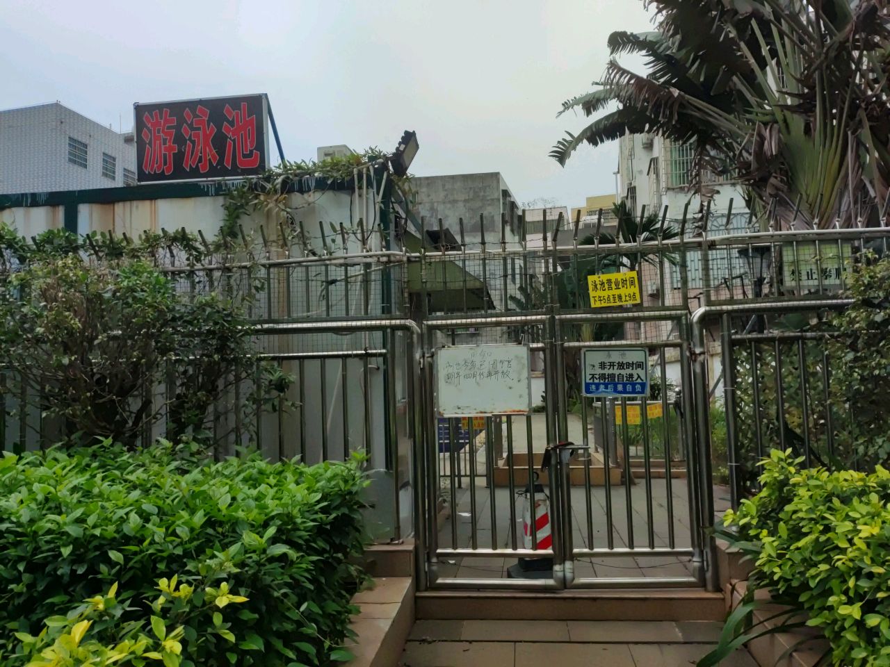 瑞园二期-游泳池