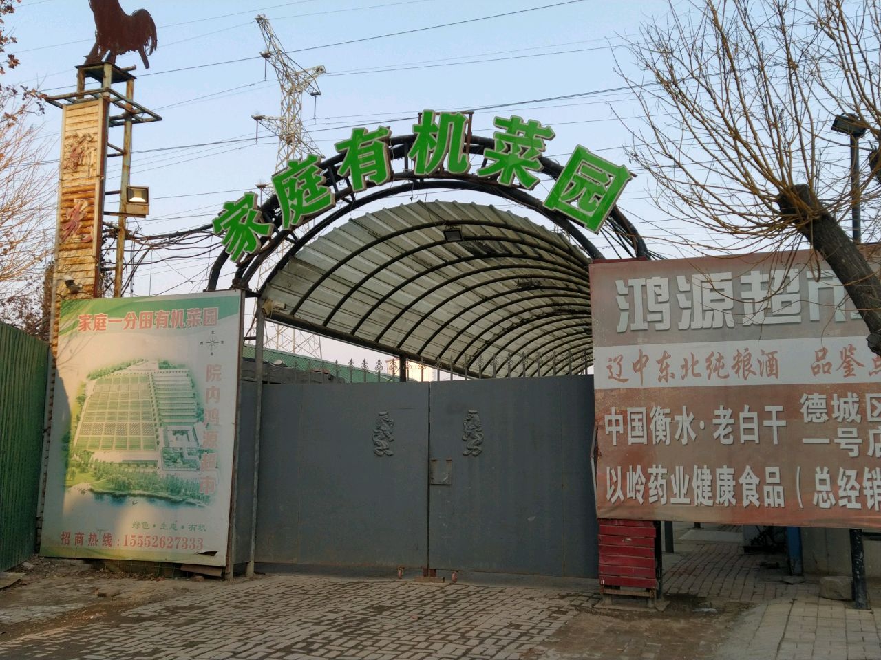 家庭有机菜园