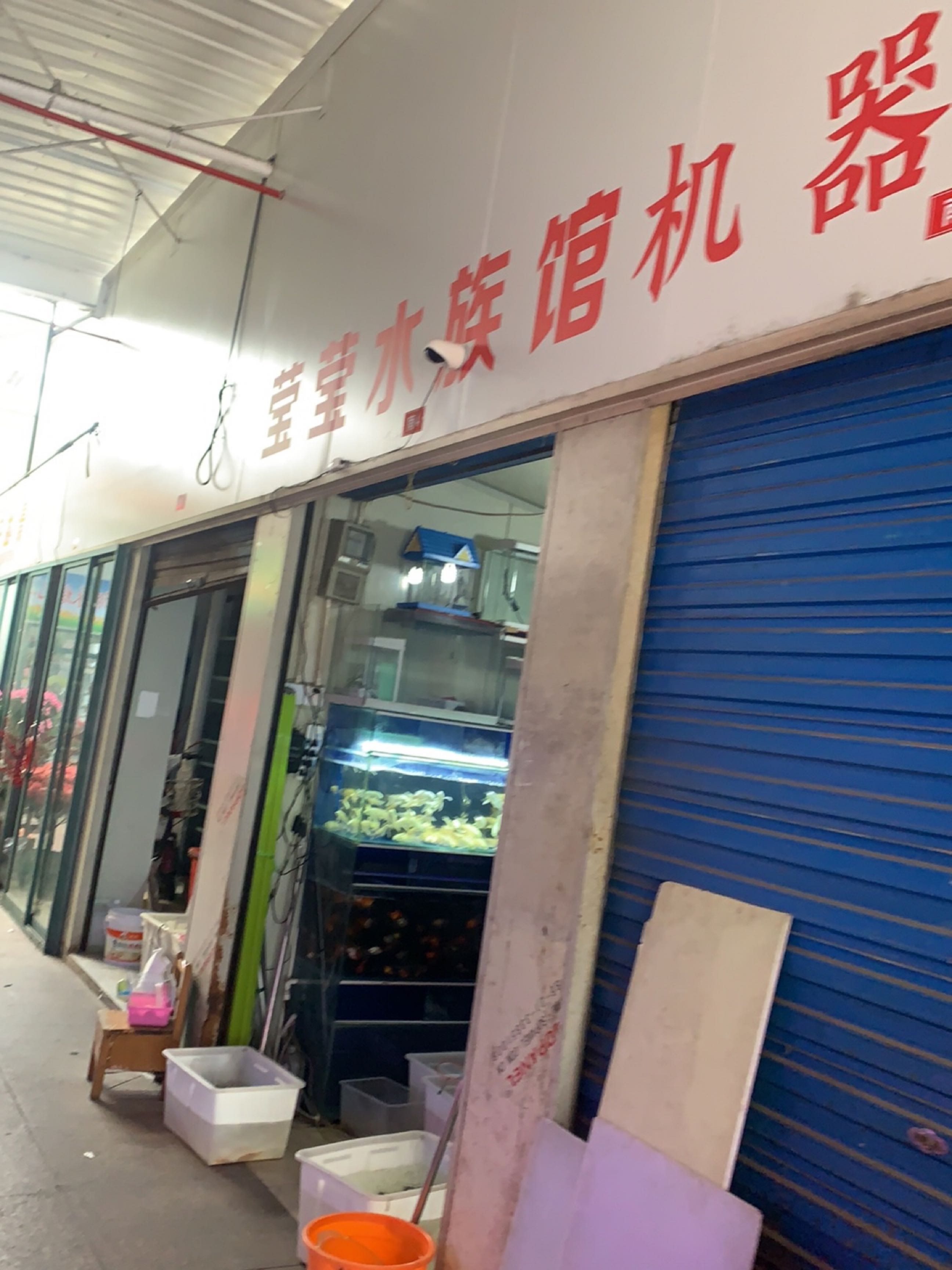 莹莹水族馆(中大苑店)