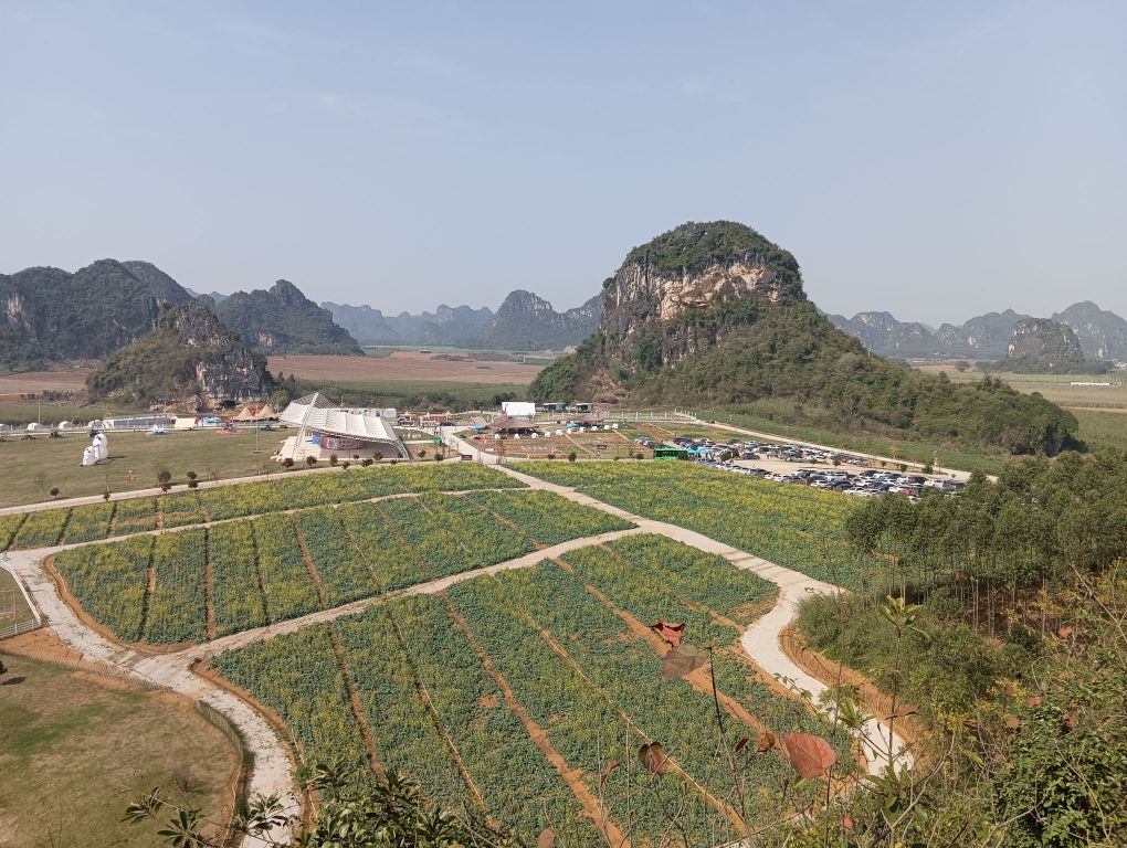 广西石埠乳业生态观光牧场有限公司