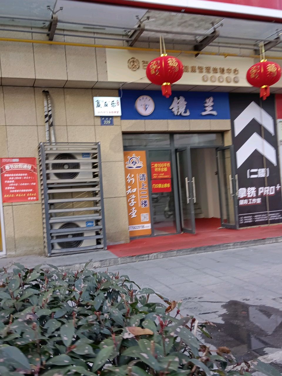 镜兰