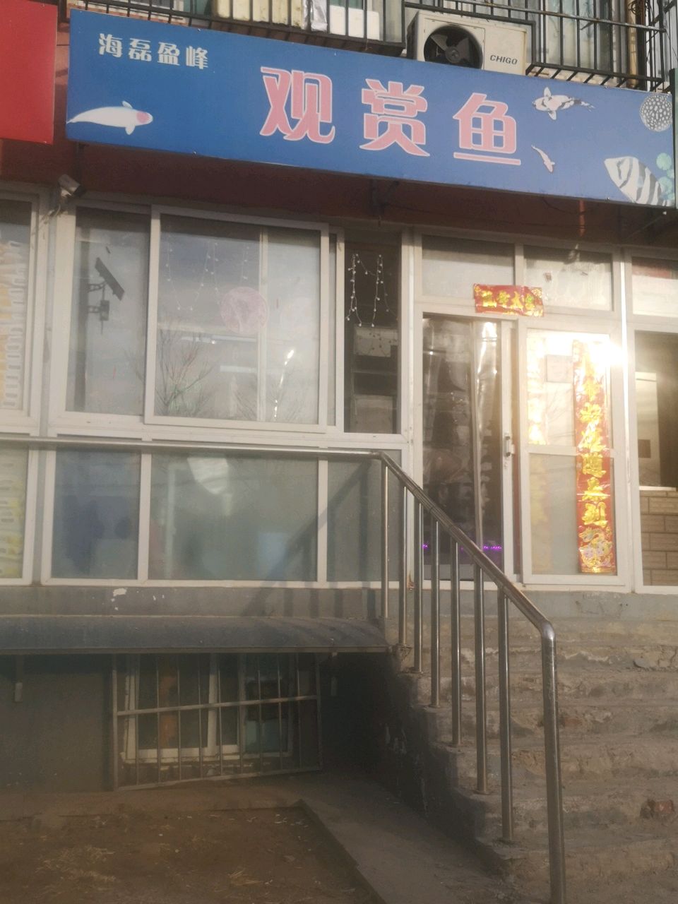 海磊盈峰观赏鱼(佳莲小区北区店)