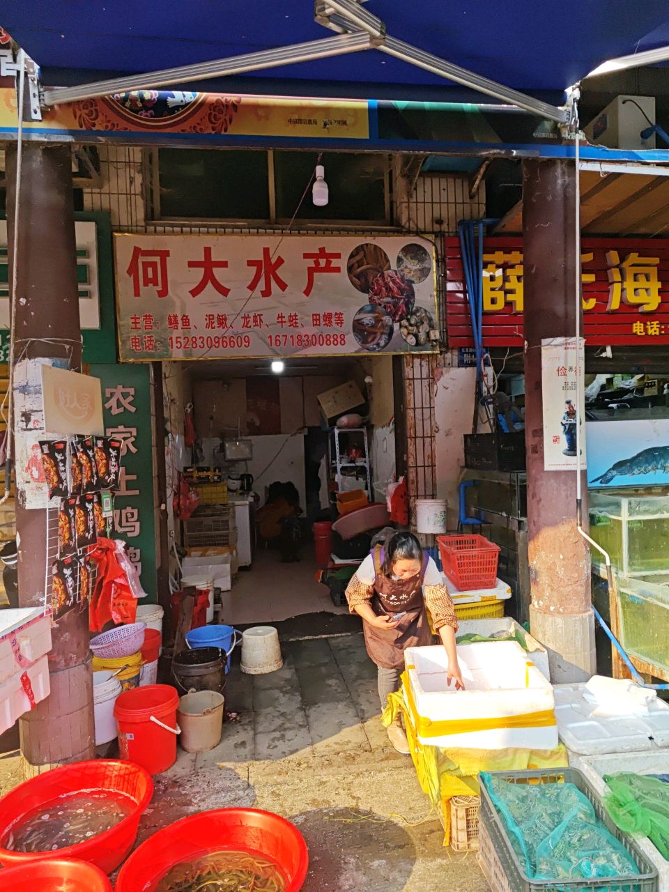 何大水产