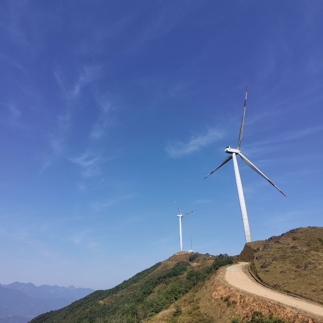 淡旱顶