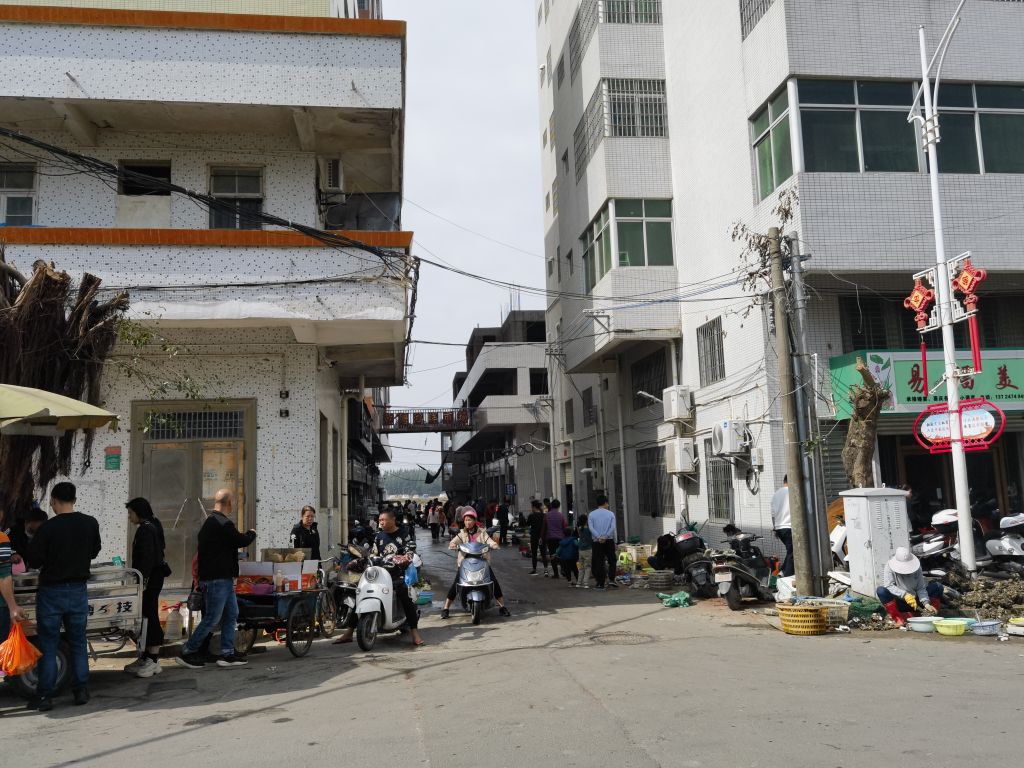 三窝海鲜批发档(杨杰水产经营部)