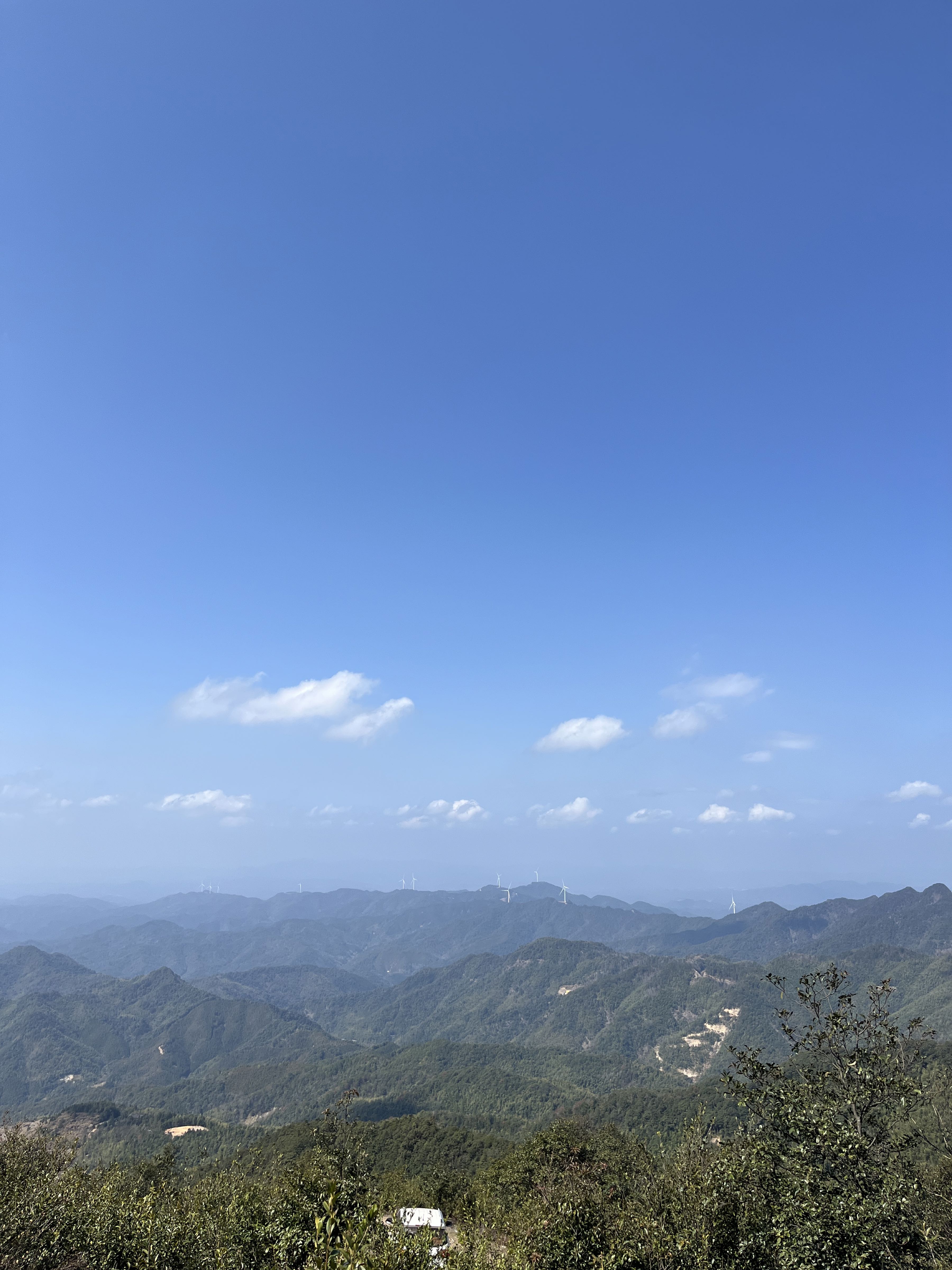 野猪嶂