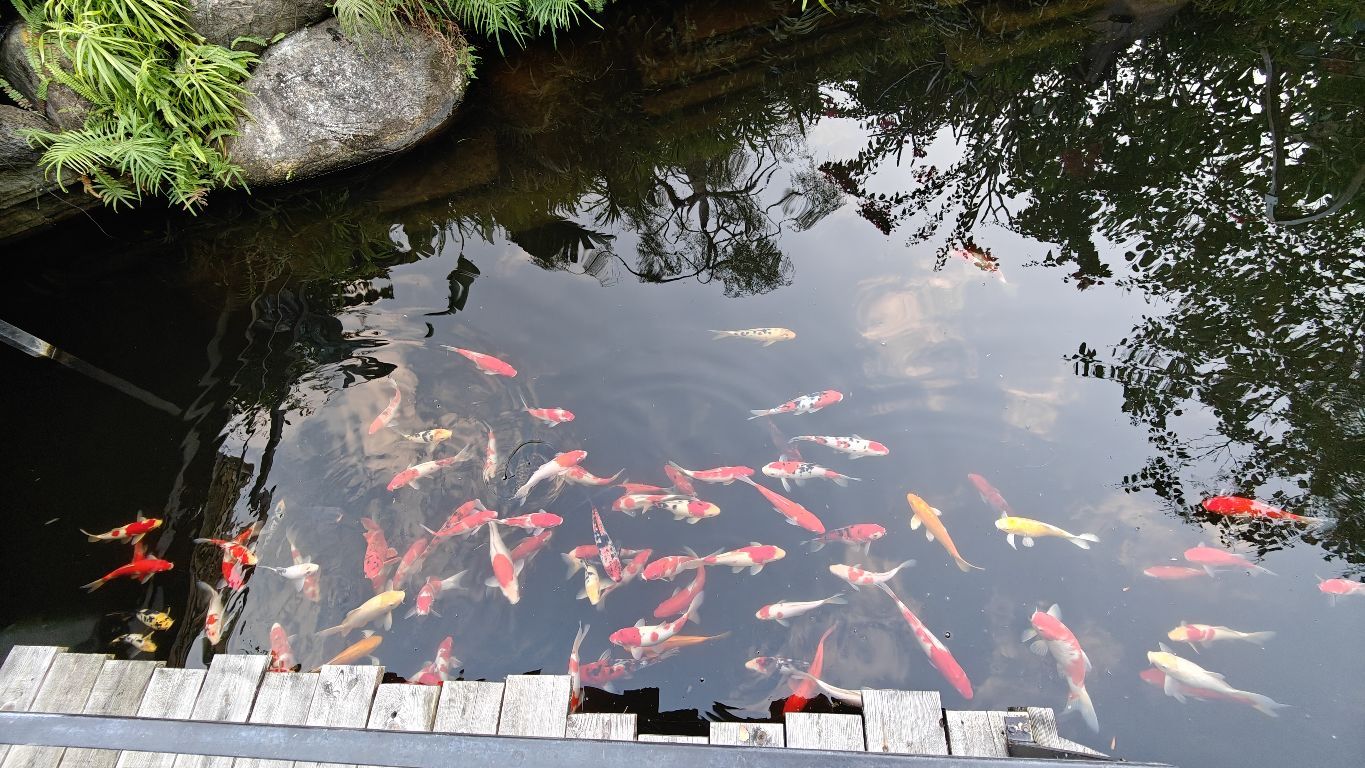 青路·瑞园