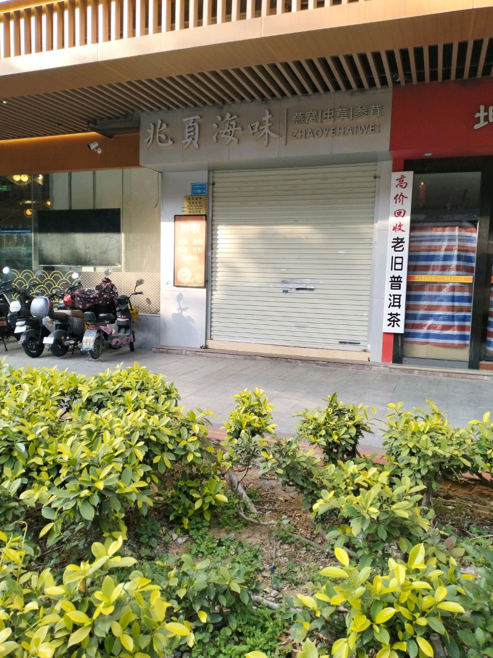 最高价回收老旧普洱茶