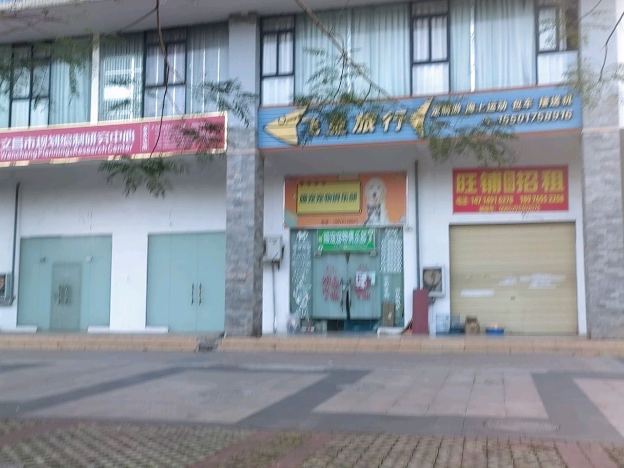 喵宠宠物俱乐部(金山国际店)