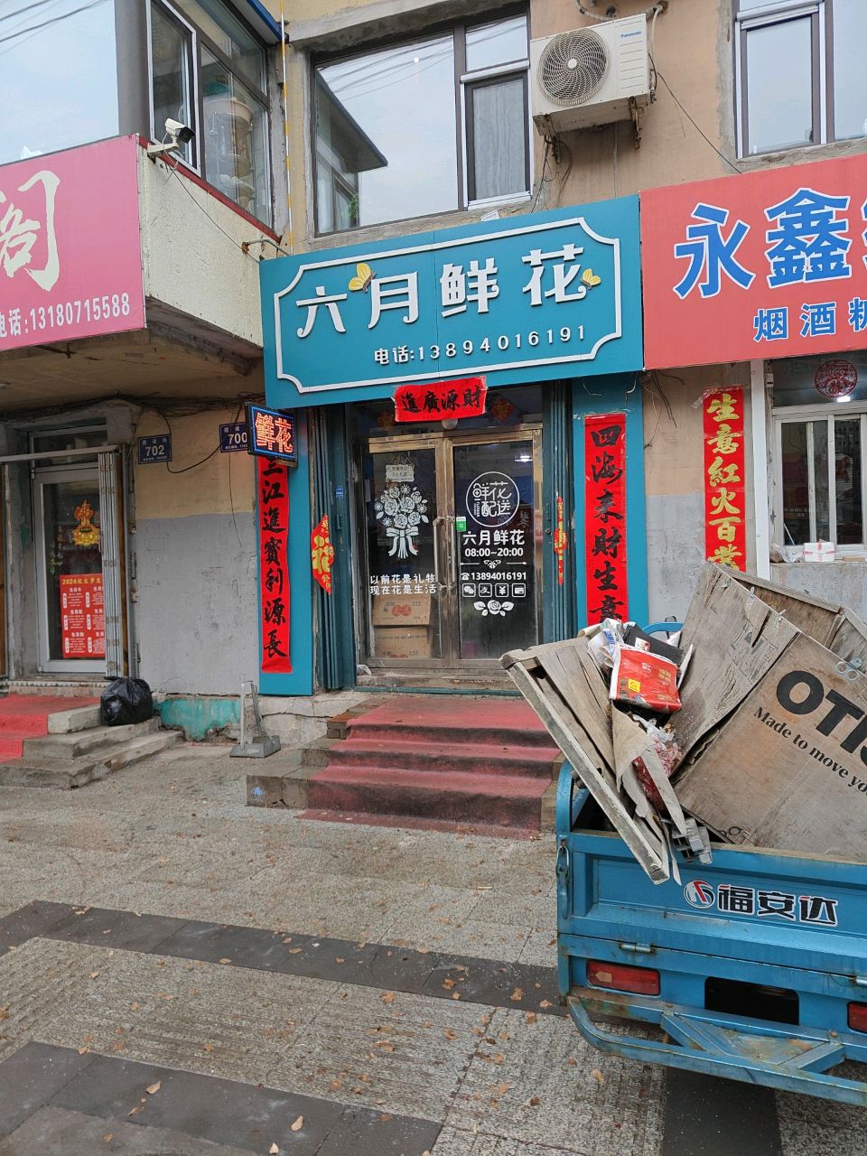 六月鲜花