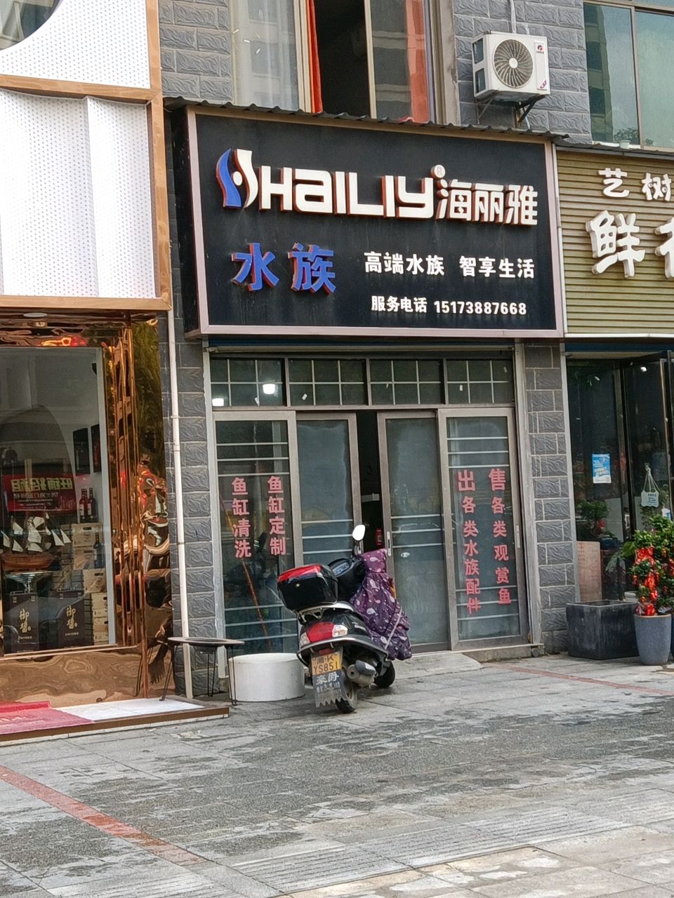 艺树繁花鲜花盆栽