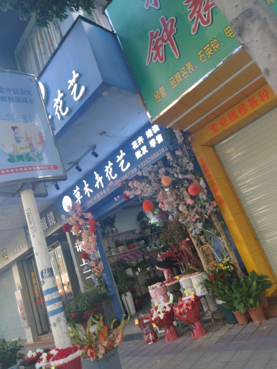 惠东草木卉花艺店