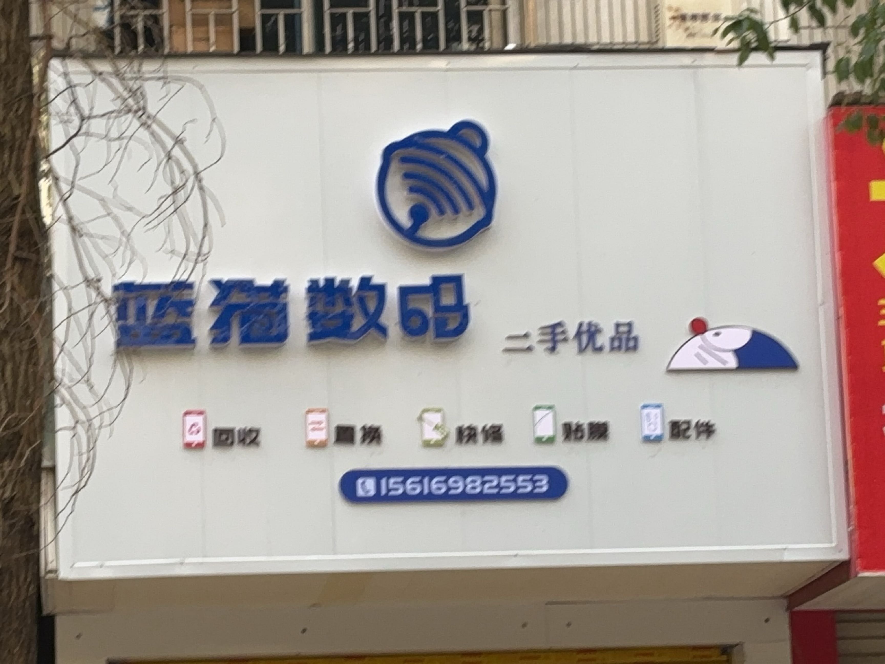 蓝猫数码