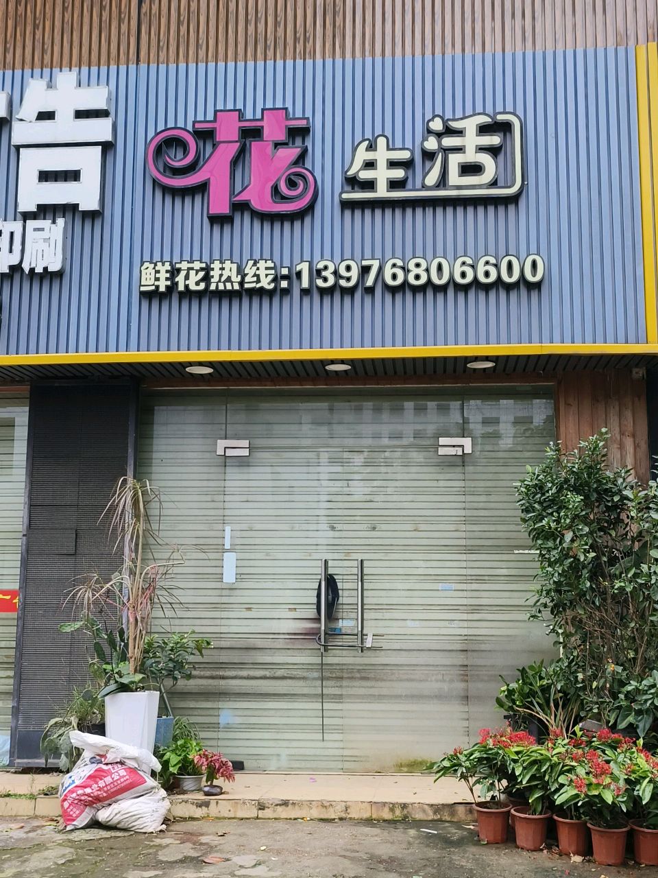 花生活花艺生活馆(金濂店)