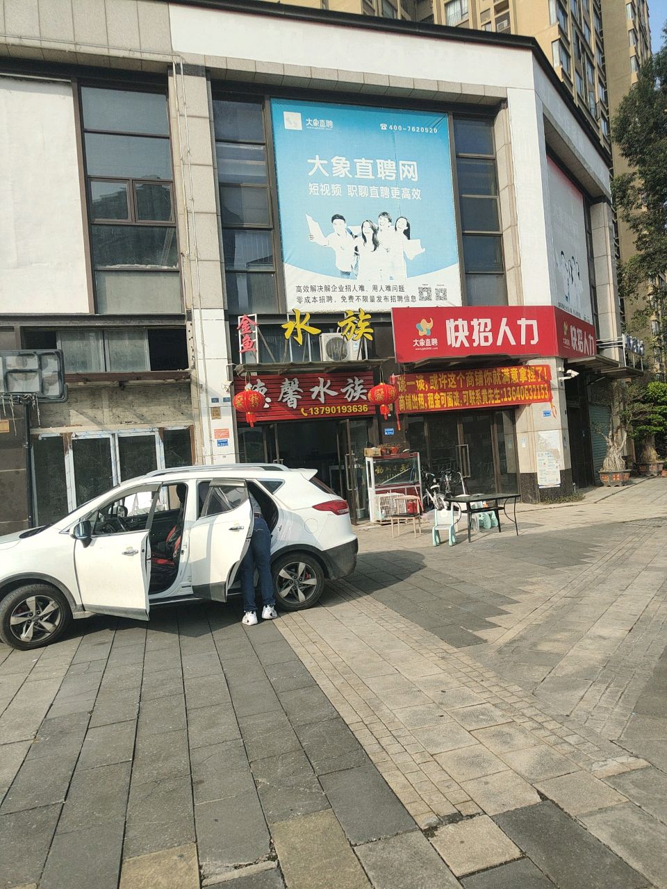 金鱼水族