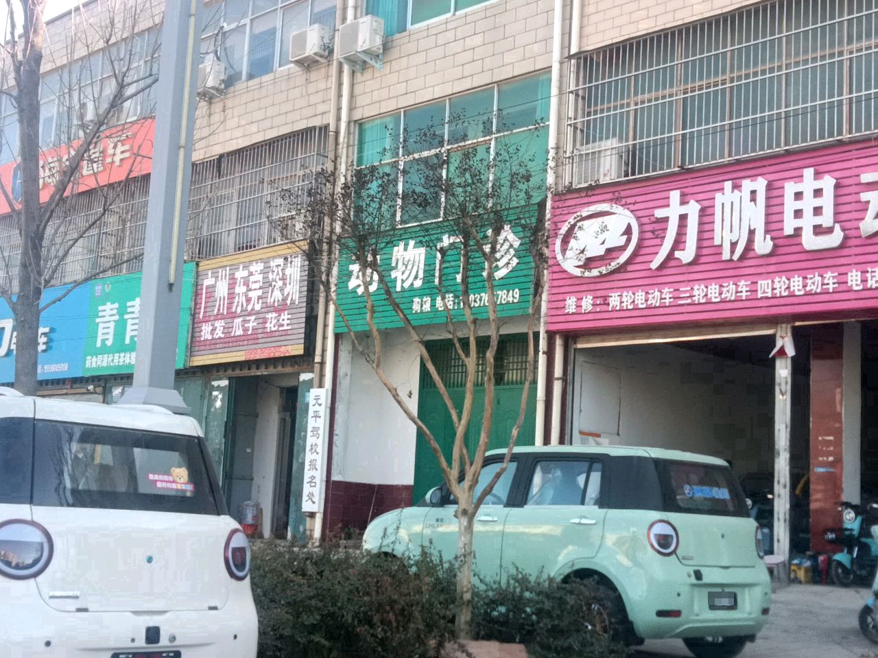 商水县青青乐药食同源代用茶体验店