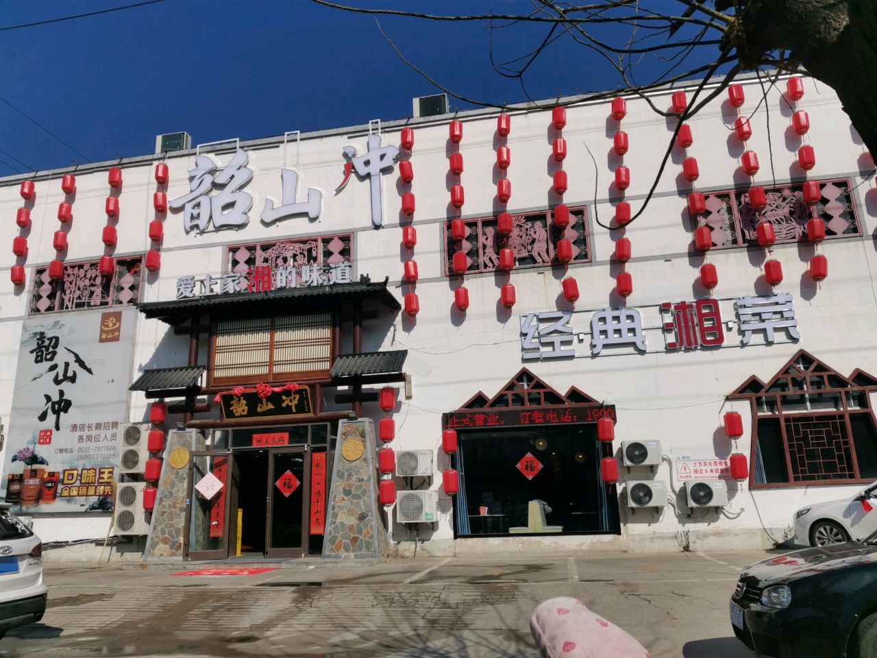 经典香菜