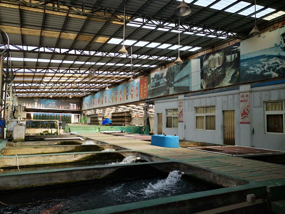 明宏锦鲤水族馆