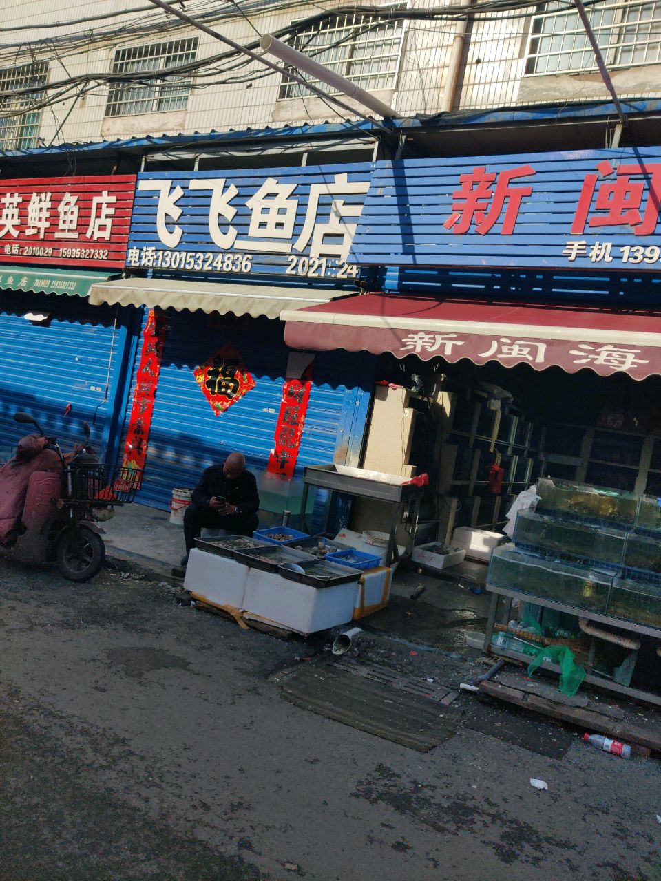 飞飞鱼店