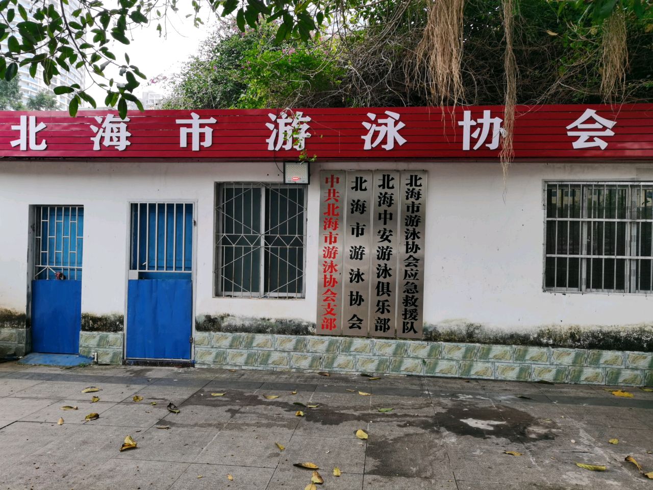 北海中安游泳俱乐部