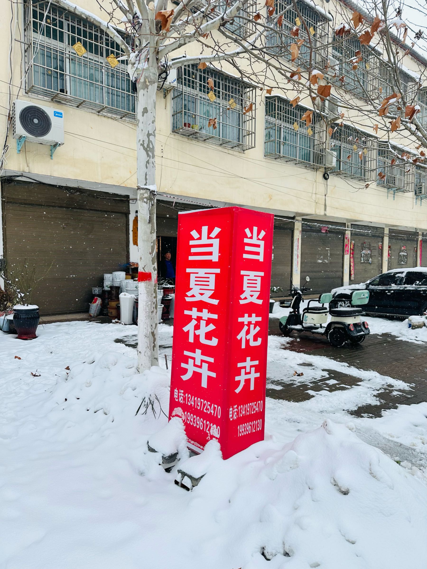 确山县李新店镇当夏花卉