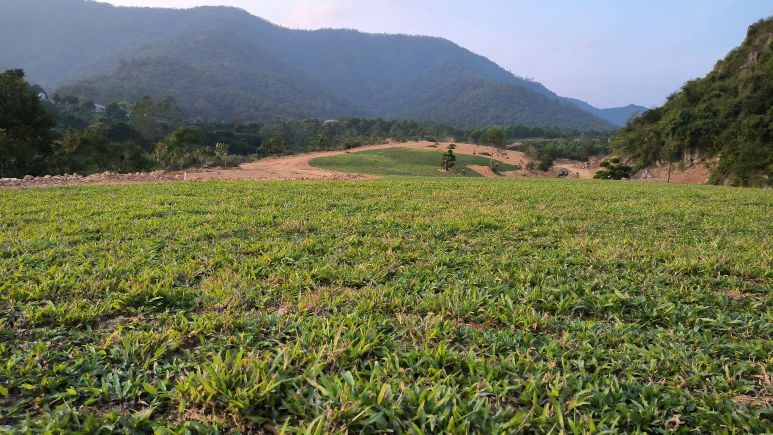 潭水凤凰山森林公园
