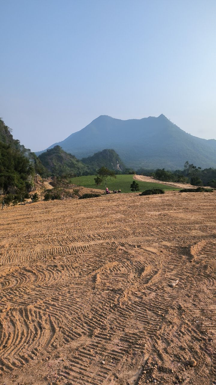 潭水凤凰山森林公园