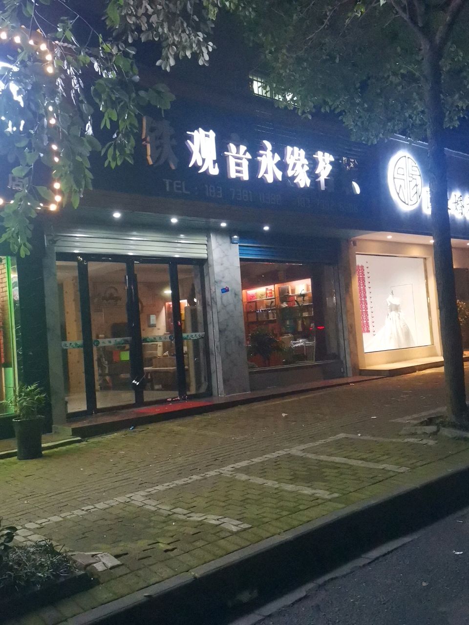 铁观音永缘茗茶