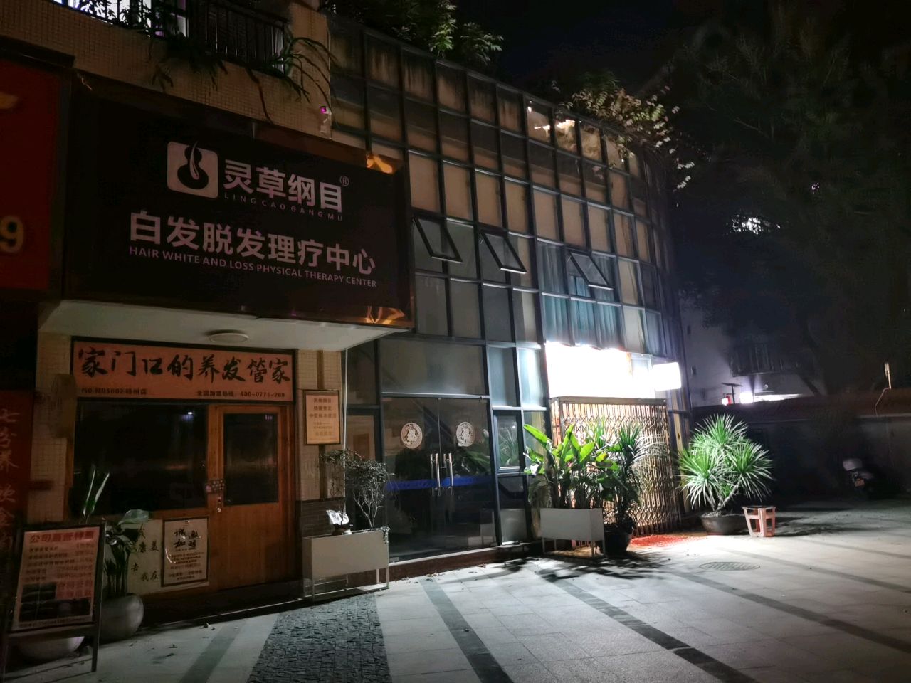 灵草纲目