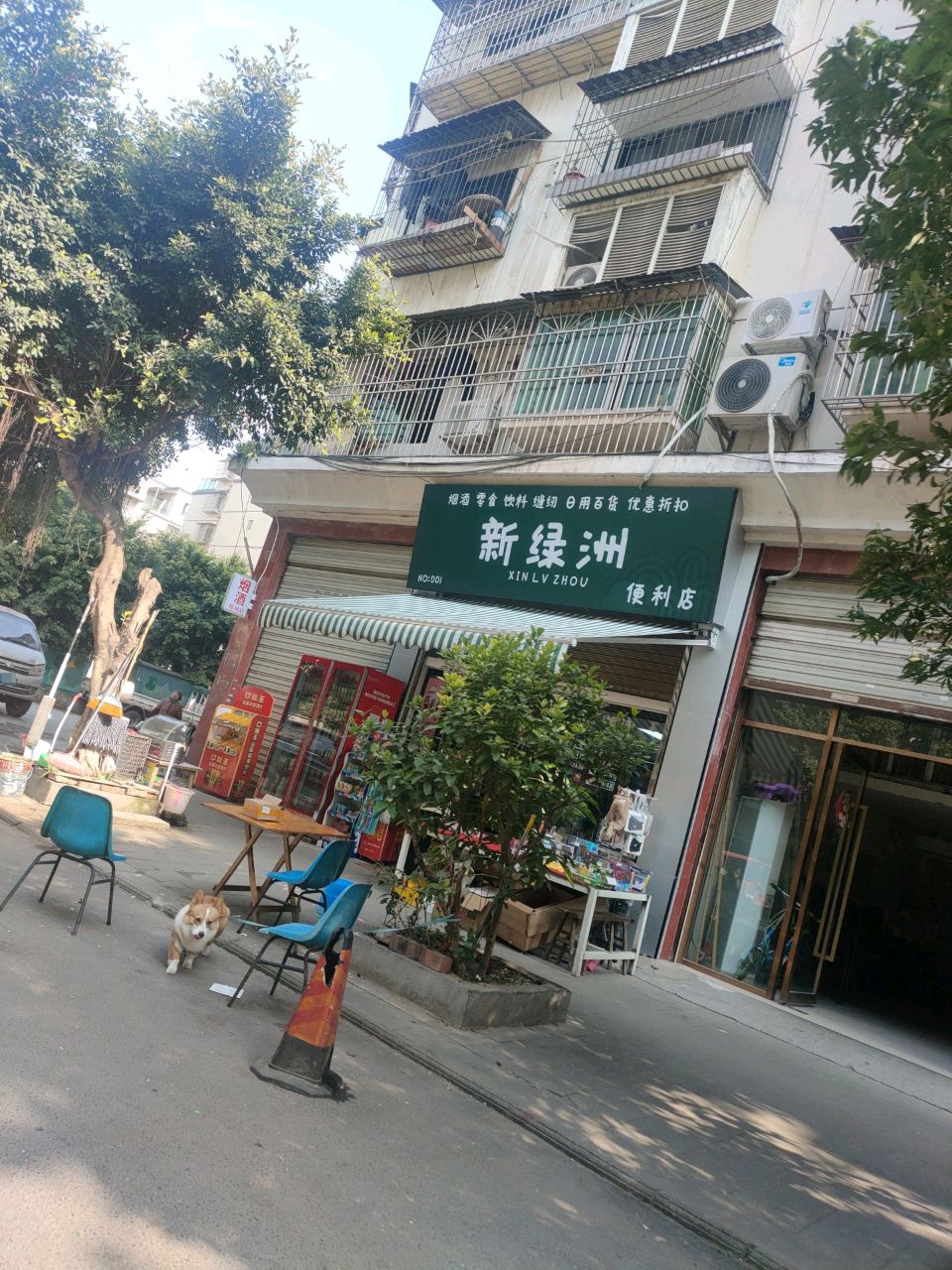 新绿洲便利店