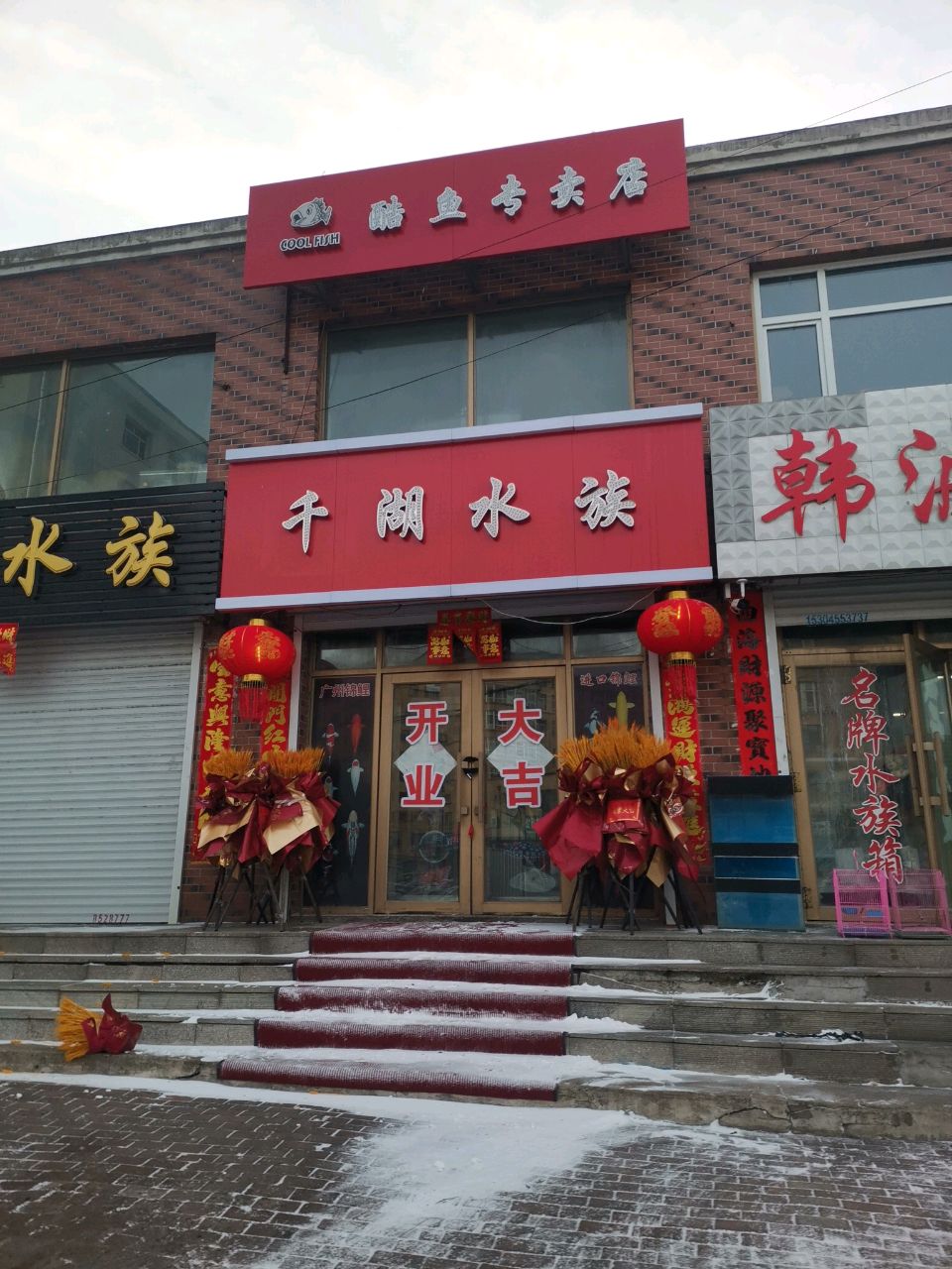 千湖水族(海城路店)