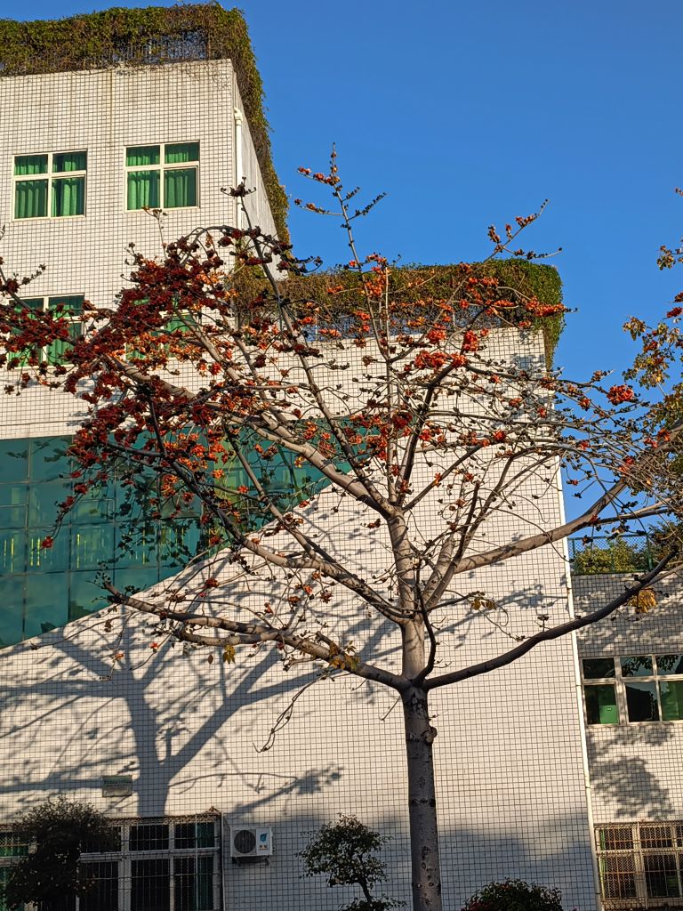 攀枝花学院