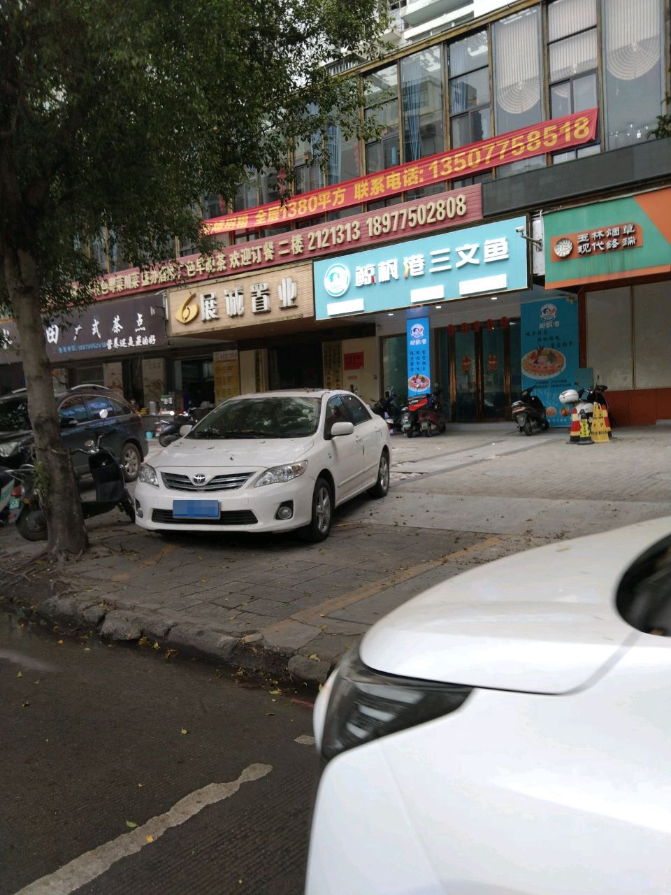 鲸枫港三文鱼(中环店)