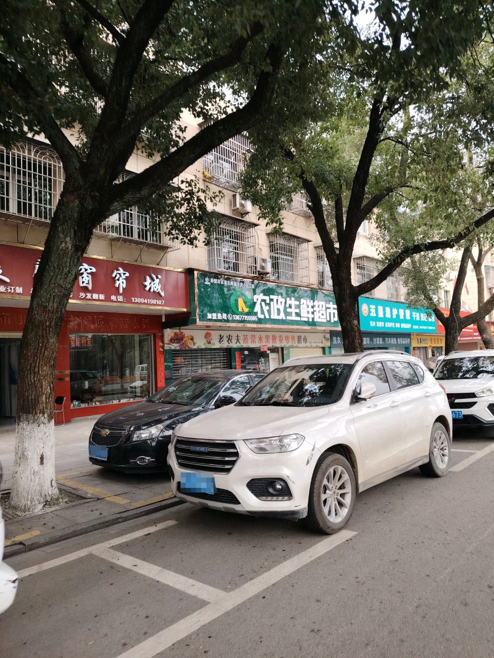 五星洗护管家(新区店)