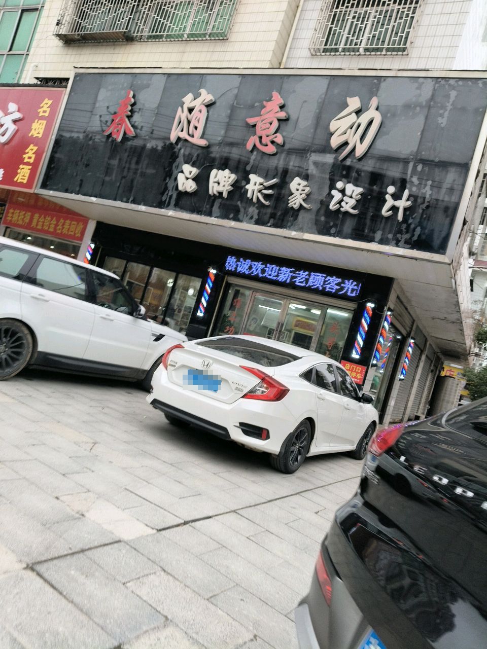 春随意动品牌形象设计