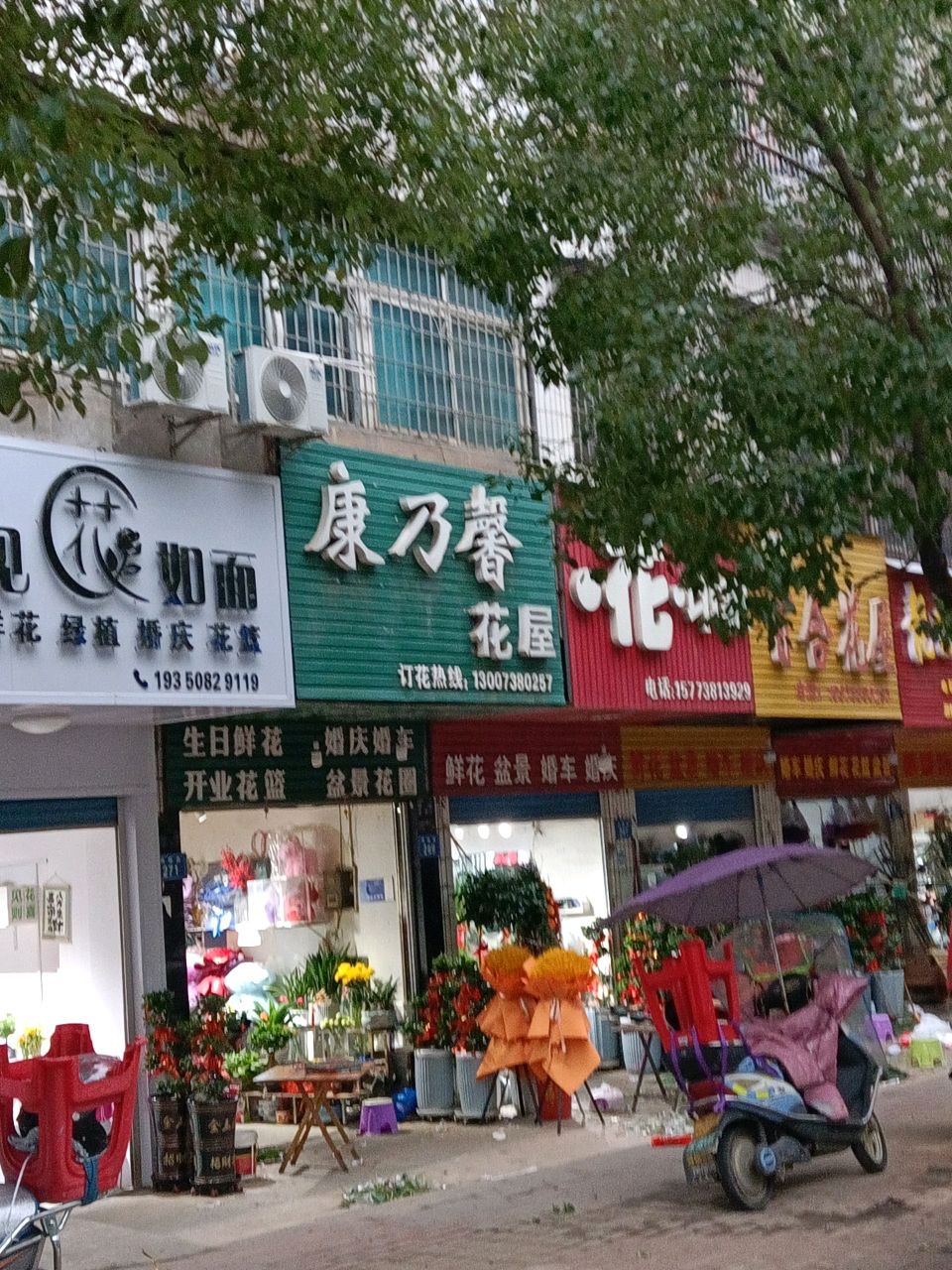 见花如面(朝阳居民委员会店)