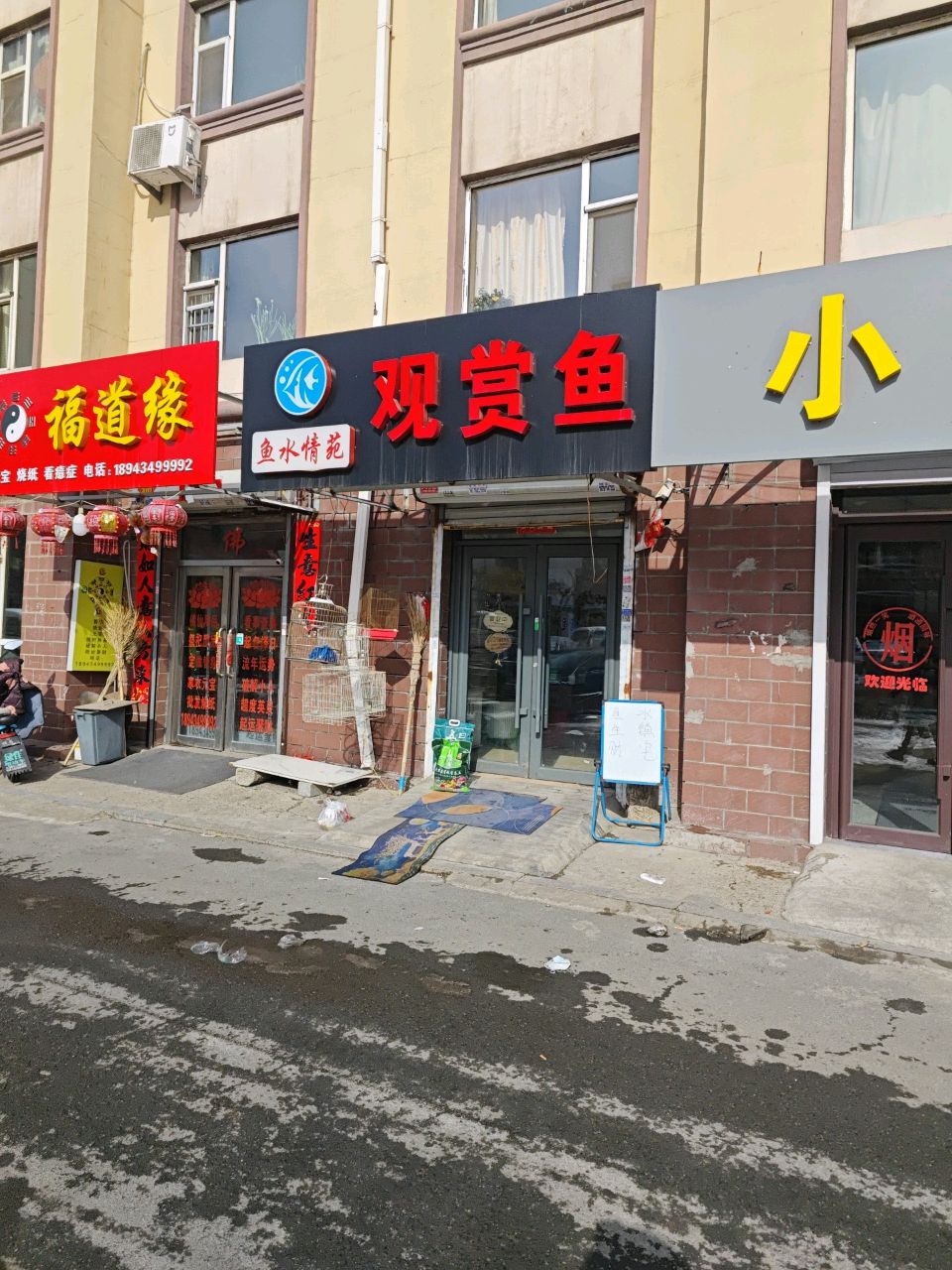 鱼水情苑观赏鱼(中海寰宇天下观邸店)