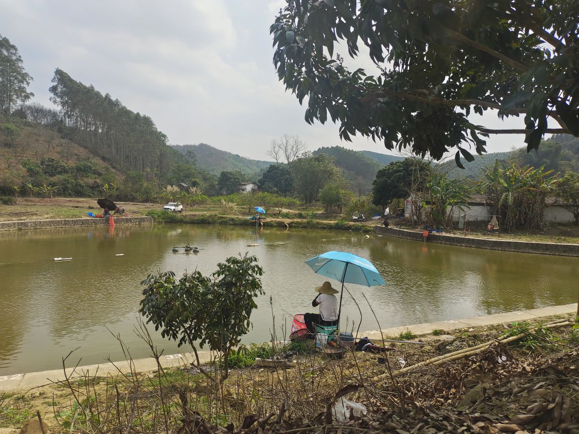 一品塘休闲垂钓