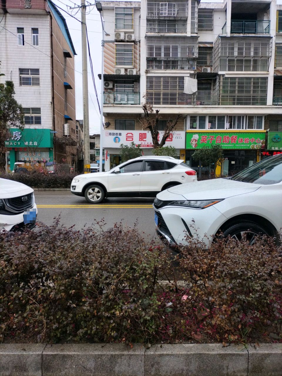 英子自助餐体验中心