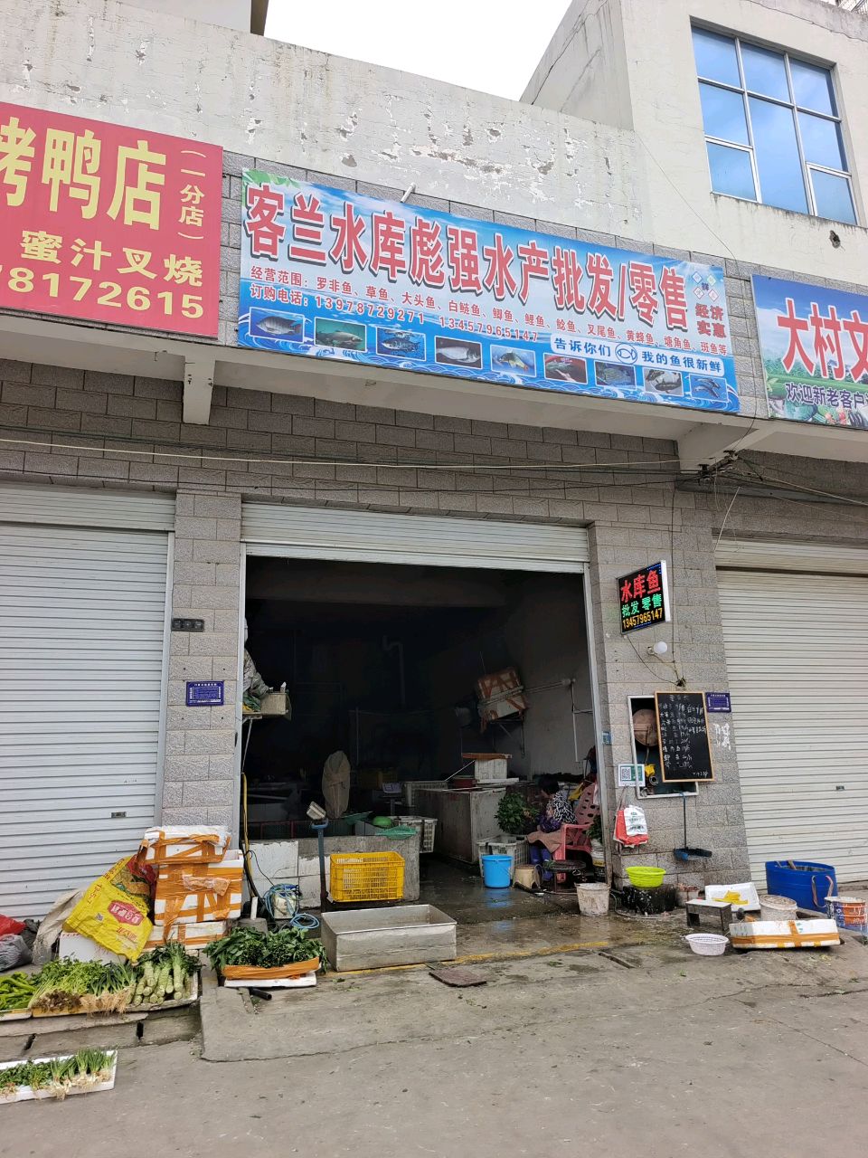 客兰水库彪强水产批发零售