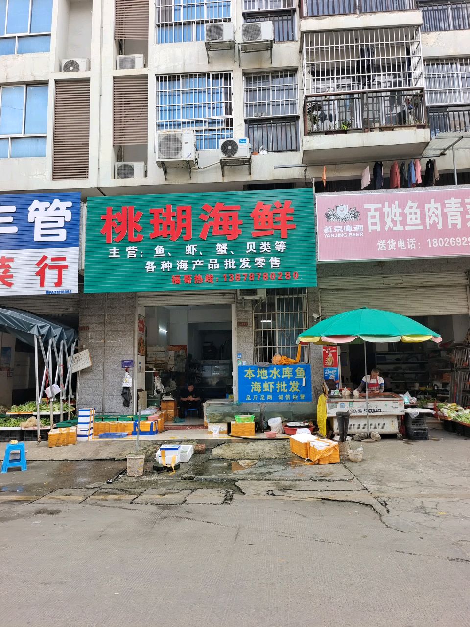 桃瑚海鲜