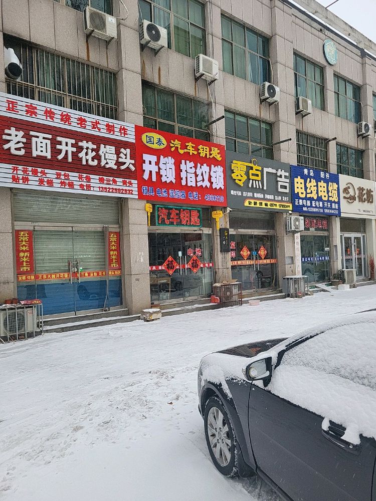 国泰汽车钥匙开锁指纹锁