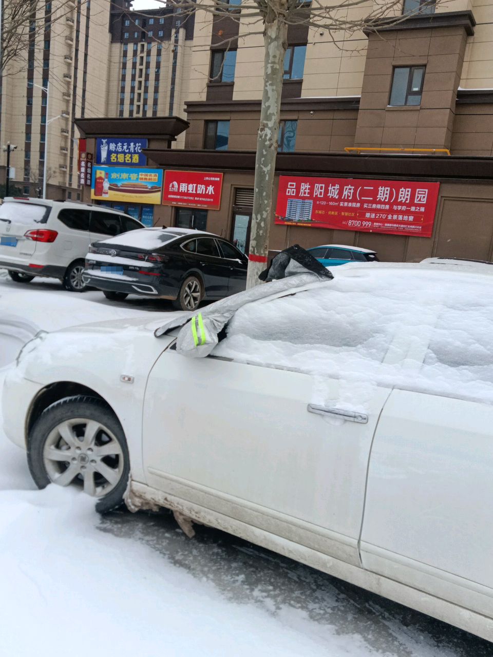 商水县雨虹防水(章华台路店)