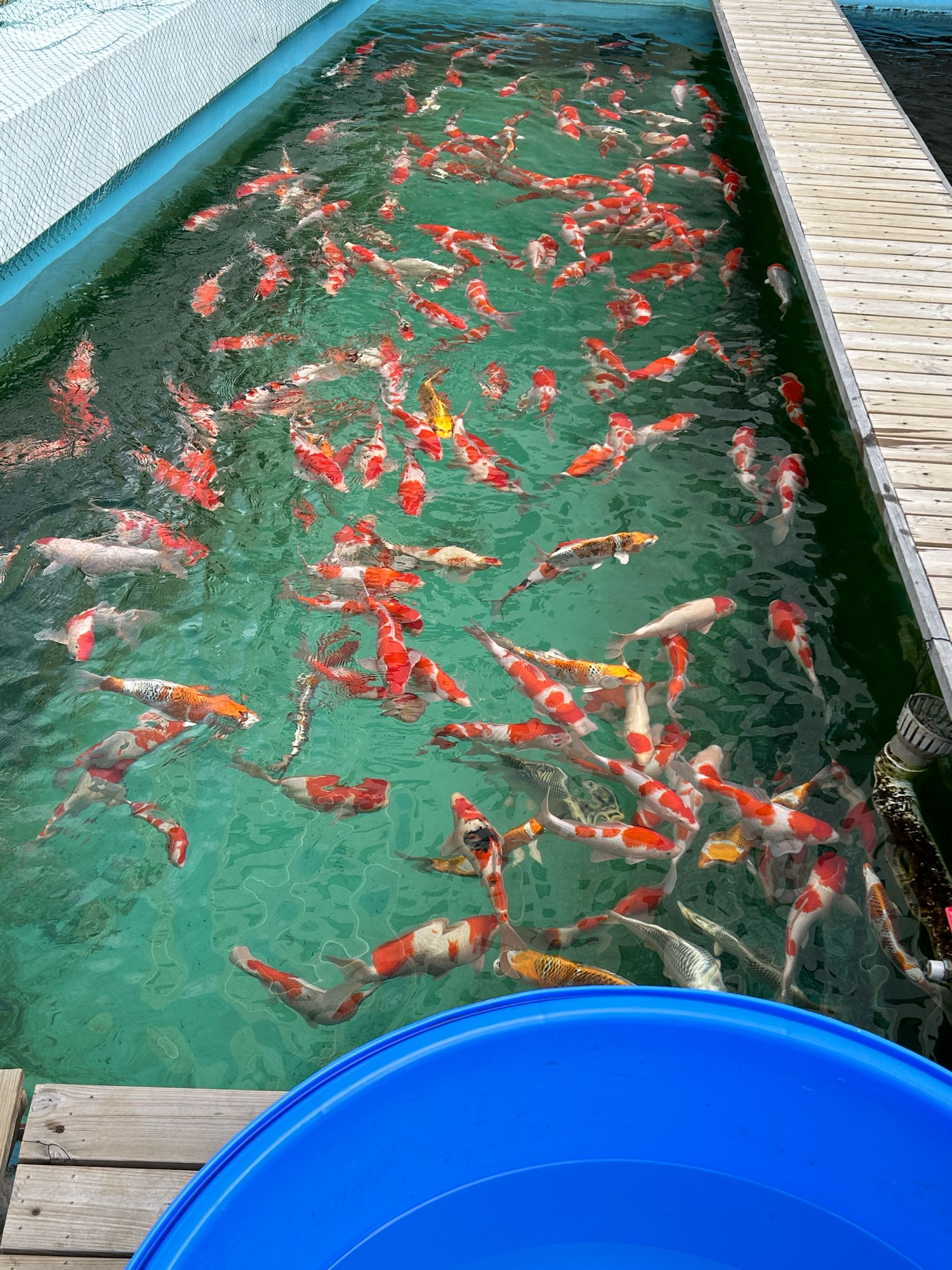 龙腾水族馆