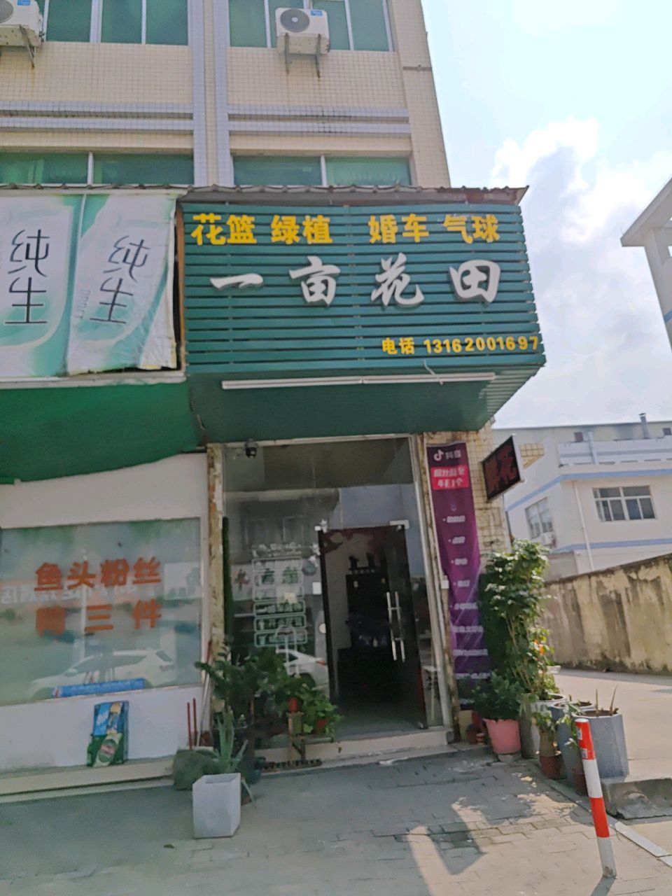 一亩花田