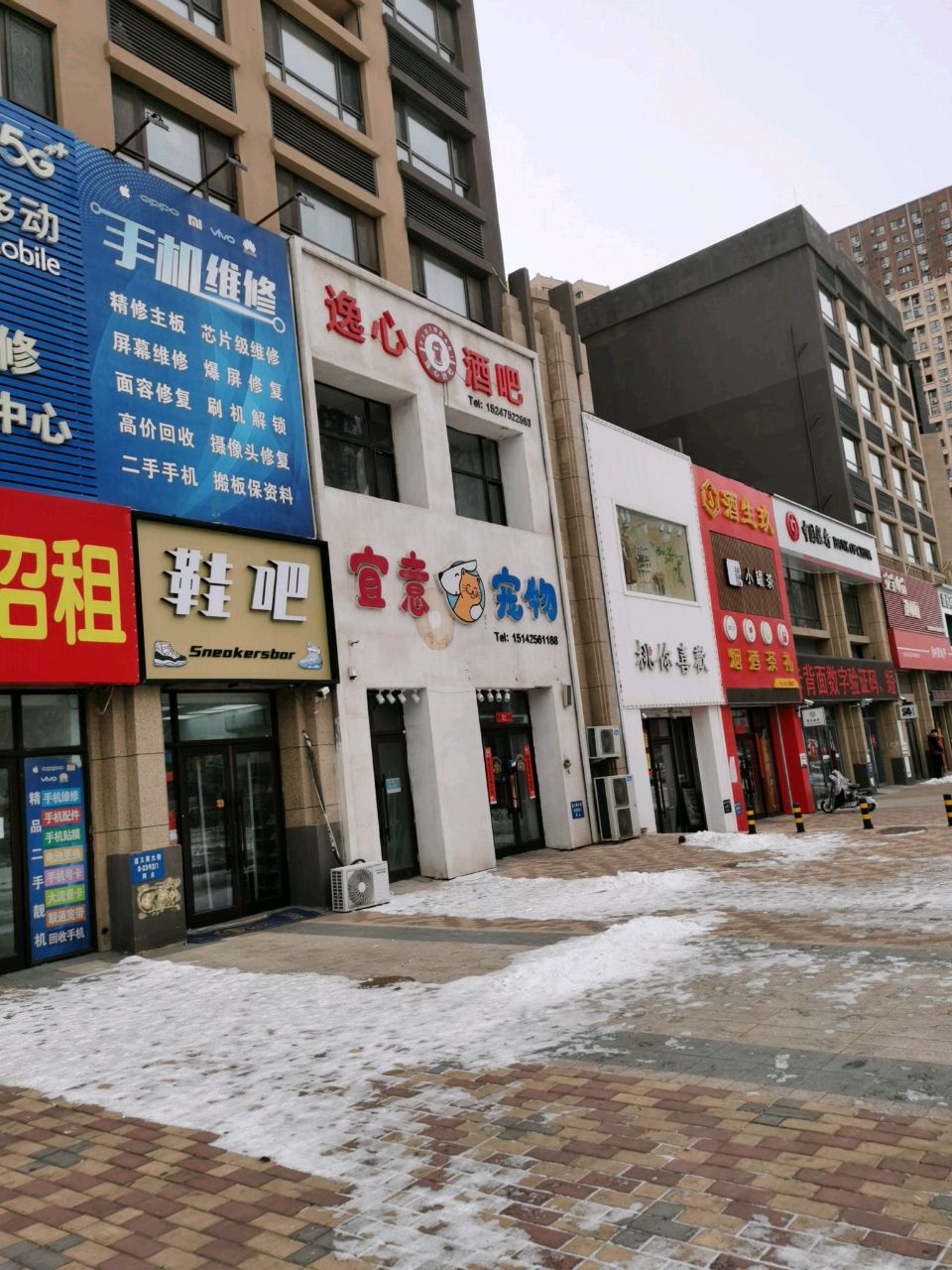 宜意宠物店