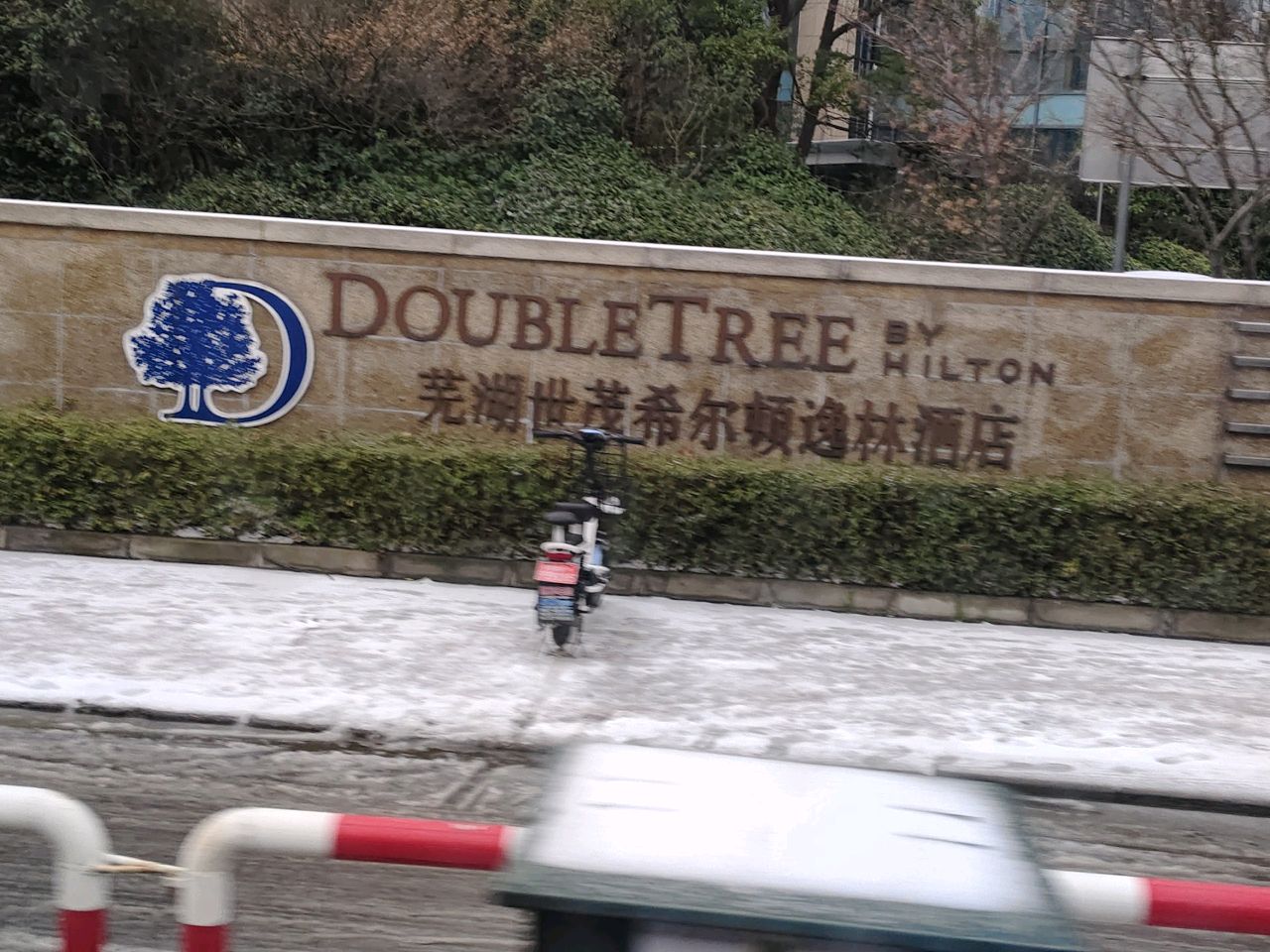 芜湖世茂希尔顿逸林酒店-游泳池